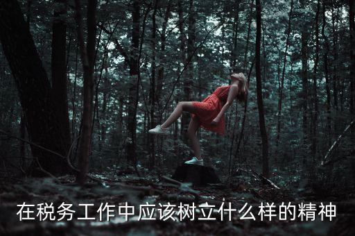 中國(guó)稅務(wù)精神是什么2018，在稅務(wù)工作中應(yīng)該樹立什么樣的精神