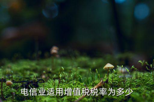 電信服務(wù)什么時(shí)候繳納增值稅，電信業(yè)適用增值稅稅率為多少