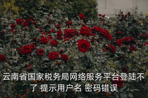 云南稅控服務(wù)平臺的網(wǎng)址是什么，云南國稅開票系統(tǒng)網(wǎng)址