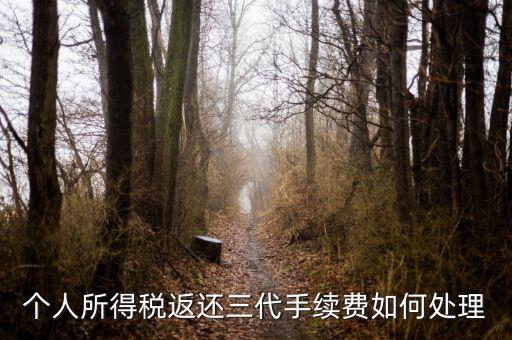 地稅局的退付三代手續(xù)費是什么意思，三代手續(xù)費返還該計入什么科目