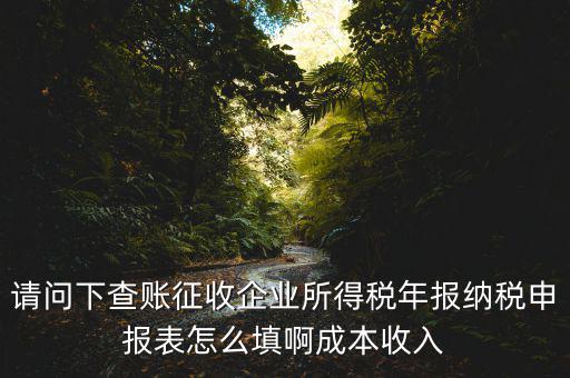 企業(yè)所得稅申報(bào)查賬是什么表，剛注冊(cè)了一個(gè)小規(guī)模的公司企業(yè)所得稅是查帳征收企業(yè)所得稅報(bào)表