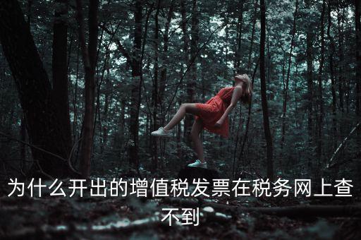 為什么我查不到發(fā)票，開(kāi)了發(fā)票為什么在國(guó)稅官網(wǎng)上查詢不到