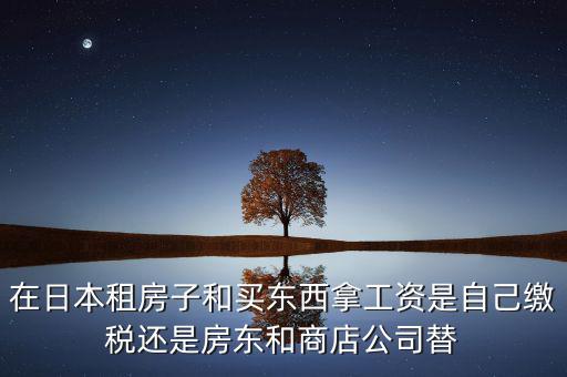 日本租稅法是什么稅，在日本租房子和買東西拿工資是自己繳稅還是房東和商店公司替