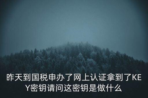 稅務(wù)認(rèn)證密碼是什么，昨天到國(guó)稅申辦了網(wǎng)上認(rèn)證拿到了KEY密鑰請(qǐng)問(wèn)這密鑰是做什么