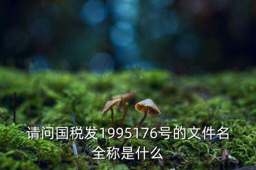 國稅初始化文件是什么字頭，稅務申報材料初始化是什么意思