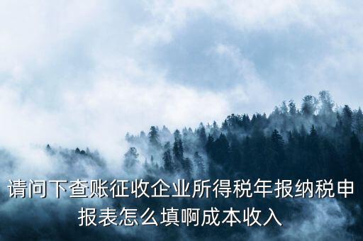 請(qǐng)問下查賬征收企業(yè)所得稅年報(bào)納稅申報(bào)表怎么填啊成本收入