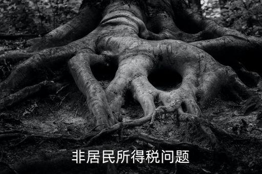 有什么是非居民企業(yè)，個(gè)私企業(yè)的范圍除了個(gè)體戶還包括哪些性質(zhì)的企業(yè)
