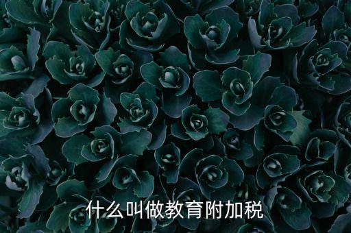 教育附加什么意思，教育費附加代表什么意思