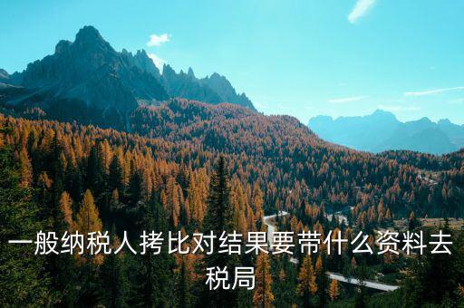 去稅務拷初始化文件帶什么東西，一般納稅人拷比對結果要帶什么資料去稅局