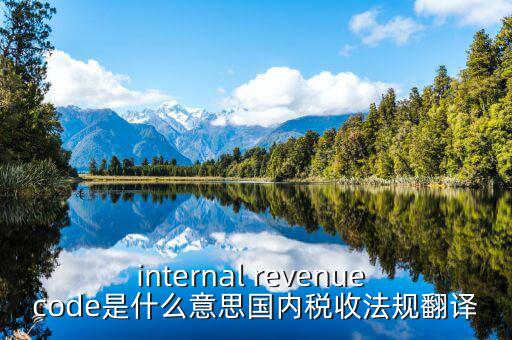 internal revenue code是什么意思國內稅收法規(guī)翻譯