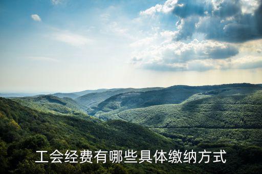 工會(huì)經(jīng)費(fèi)按什么來預(yù)繳，請(qǐng)問工會(huì)經(jīng)費(fèi)怎么繳納