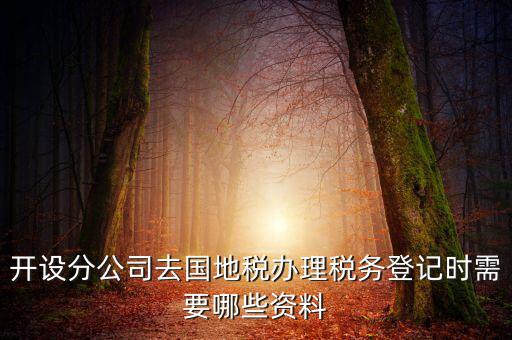分公司地稅辦理需要什么材料，辦理分公司的稅務(wù)登記證需要準(zhǔn)備哪些資料
