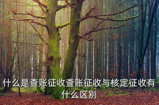 什么是查賬征收和核定征收，查賬征收與核定征收的區(qū)別是什么