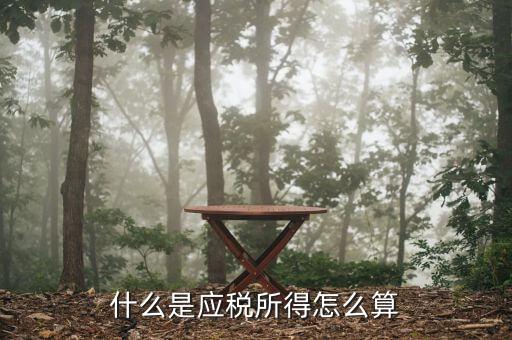 應(yīng)稅所得是什么，什么是應(yīng)稅所得怎么算