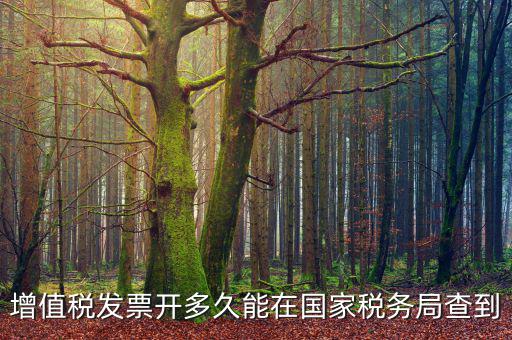 稅局什么時候查發(fā)票，增值稅發(fā)票開多久能在國家稅務(wù)局查到