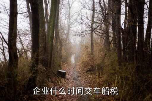 什么時候申報車船稅，車船稅應當在什么時候申報繳納 承德