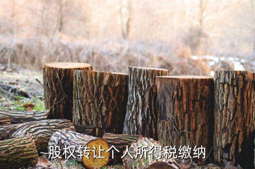 股權(quán)轉(zhuǎn)讓如何繳納個(gè)稅，個(gè)人股權(quán)轉(zhuǎn)讓如何納稅