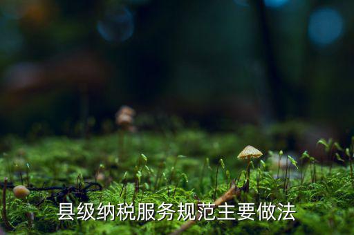 如何納稅的便民措施，如何提高納稅人滿意度 中國稅務(wù)報