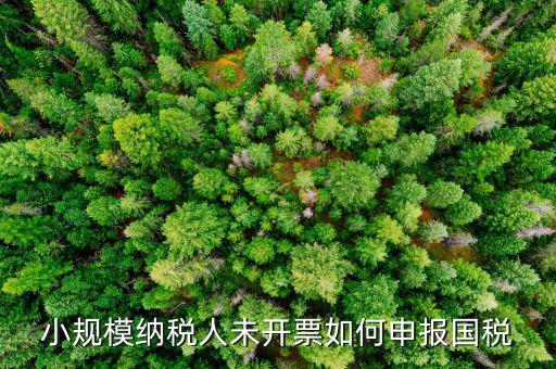 不征稅發(fā)票 如何申報(bào)，零星的銷售對(duì)方不要發(fā)票怎么報(bào)稅
