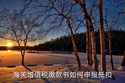 海關(guān)增值稅如何抵扣，海關(guān)增值稅繳款書如何申報(bào)抵扣
