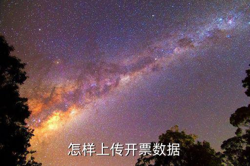 如何上傳進(jìn)項(xiàng)發(fā)票明細(xì)，怎樣上傳開票數(shù)據(jù)