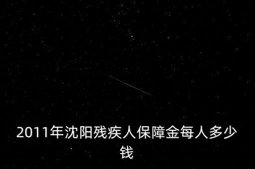 沈陽市殘疾人保障金如何計算，2011年沈陽殘疾人保障金每人多少錢