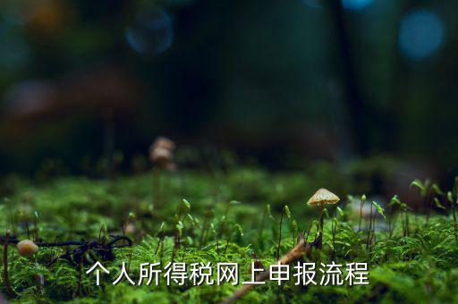 如何網(wǎng)上申請(qǐng)個(gè)稅，個(gè)人所得稅網(wǎng)上申報(bào)流程