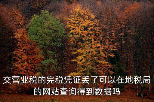 交營(yíng)業(yè)稅的完稅憑證丟了可以在地稅局的網(wǎng)站查詢(xún)得到數(shù)據(jù)嗎