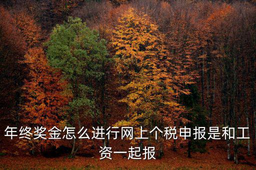 年終獎個稅如何申報(bào)，年終獎怎樣申報(bào)個稅