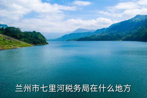 甘肅省國稅如何申報，誰有甘肅省國稅網(wǎng)上申報傳輸平臺的網(wǎng)址