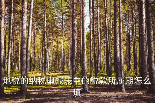 地稅所屬期日期如何填寫，我是2012年9月10日領(lǐng)取稅務(wù)登記證請問稅款所屬期間的時(shí)間應(yīng)該