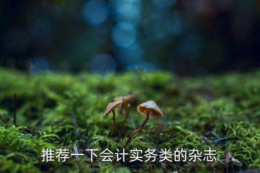 納稅這個(gè)期刊如何，推薦一下會計(jì)實(shí)務(wù)類的雜志