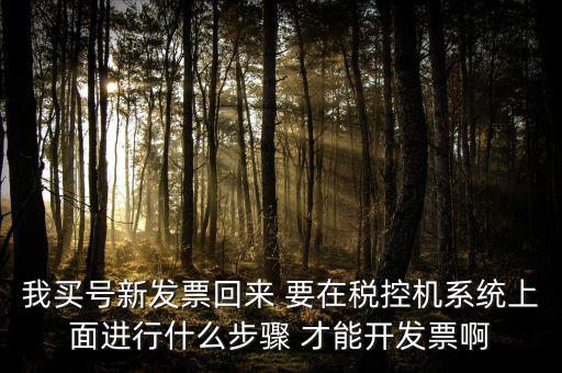稅控系統(tǒng)如何開(kāi)票，我買號(hào)新發(fā)票回來(lái) 要在稅控機(jī)系統(tǒng)上面進(jìn)行什么步驟 才能開(kāi)發(fā)票啊