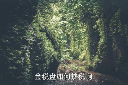 金稅盤如何抄報(bào)稅，金稅盤如何抄稅啊