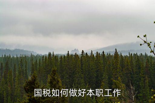 如何做好基層國稅工作，如何做好新形勢下的國稅工作