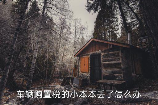 購(gòu)置稅本丟失如何補(bǔ)辦，車(chē)輛購(gòu)置稅完稅證明本丟了怎么補(bǔ)辦