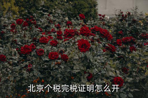 北京如何打印個(gè)人所得稅完稅證明，北京個(gè)稅完稅證明怎么開