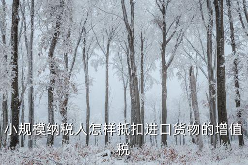 小規(guī)模如何抵扣進項，小規(guī)模增值稅怎么抵扣