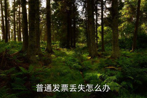 普票發(fā)票聯(lián)丟失如何入賬，企業(yè)開具的增值稅普通發(fā)票記賬聯(lián)丟失怎么處理