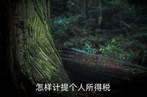 個(gè)人所得稅如何計(jì)提，如何計(jì)提個(gè)人所得稅