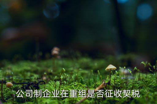 企業(yè)改制契稅減免如何辦理，公司制企業(yè)在重組是否征收契稅