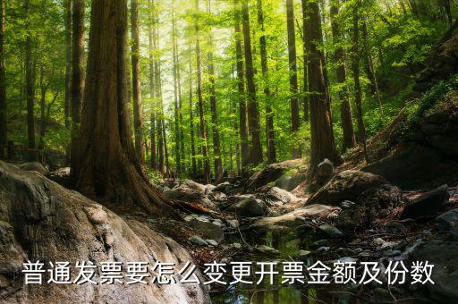 如何申請發(fā)票額度變更，普通發(fā)票要怎么變更開票金額及份數(shù)