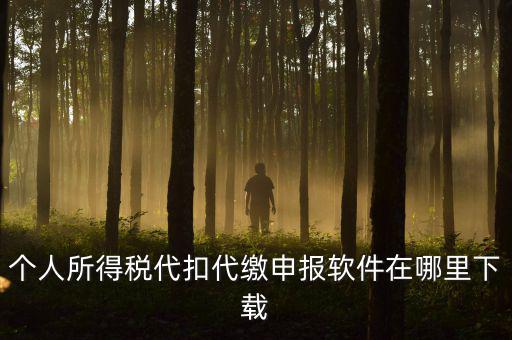 代扣代繳國稅如何申報(bào)系統(tǒng)下載，國稅增值稅小規(guī)模稅務(wù)電子申報(bào)軟件在哪里下載呢
