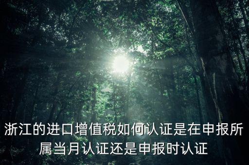 浙江國(guó)稅進(jìn)口發(fā)票如何認(rèn)證，浙江的進(jìn)口增值稅如何認(rèn)證是在申報(bào)所屬當(dāng)月認(rèn)證還是申報(bào)時(shí)認(rèn)證