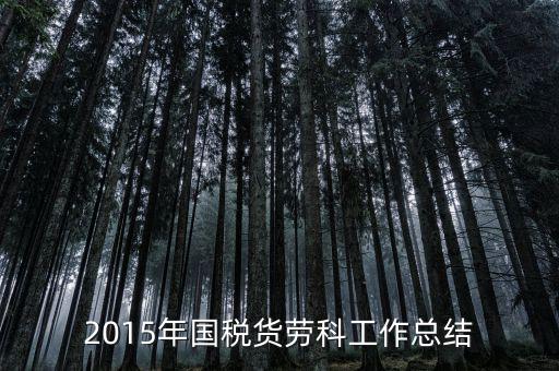 2015年國稅貨勞科工作總結