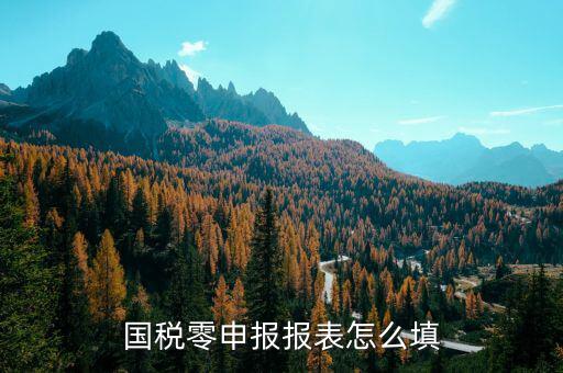 國(guó)稅地稅如何零申報(bào)表，國(guó)稅零申報(bào)報(bào)表怎么填