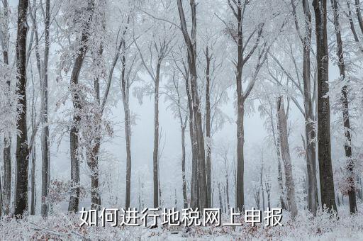 地稅如何進(jìn)行網(wǎng)上申報，如何進(jìn)行地稅網(wǎng)上申報