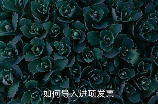 如何導(dǎo)入發(fā)票，如何導(dǎo)入進(jìn)項(xiàng)發(fā)票