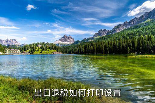 如何打印出口退稅備案表，出口退稅系統(tǒng)內(nèi)的增值稅申報(bào)表如何打印
