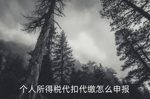 代扣代繳個(gè)人所得稅如何申報(bào)，個(gè)人所得稅代扣代繳怎么申報(bào)
